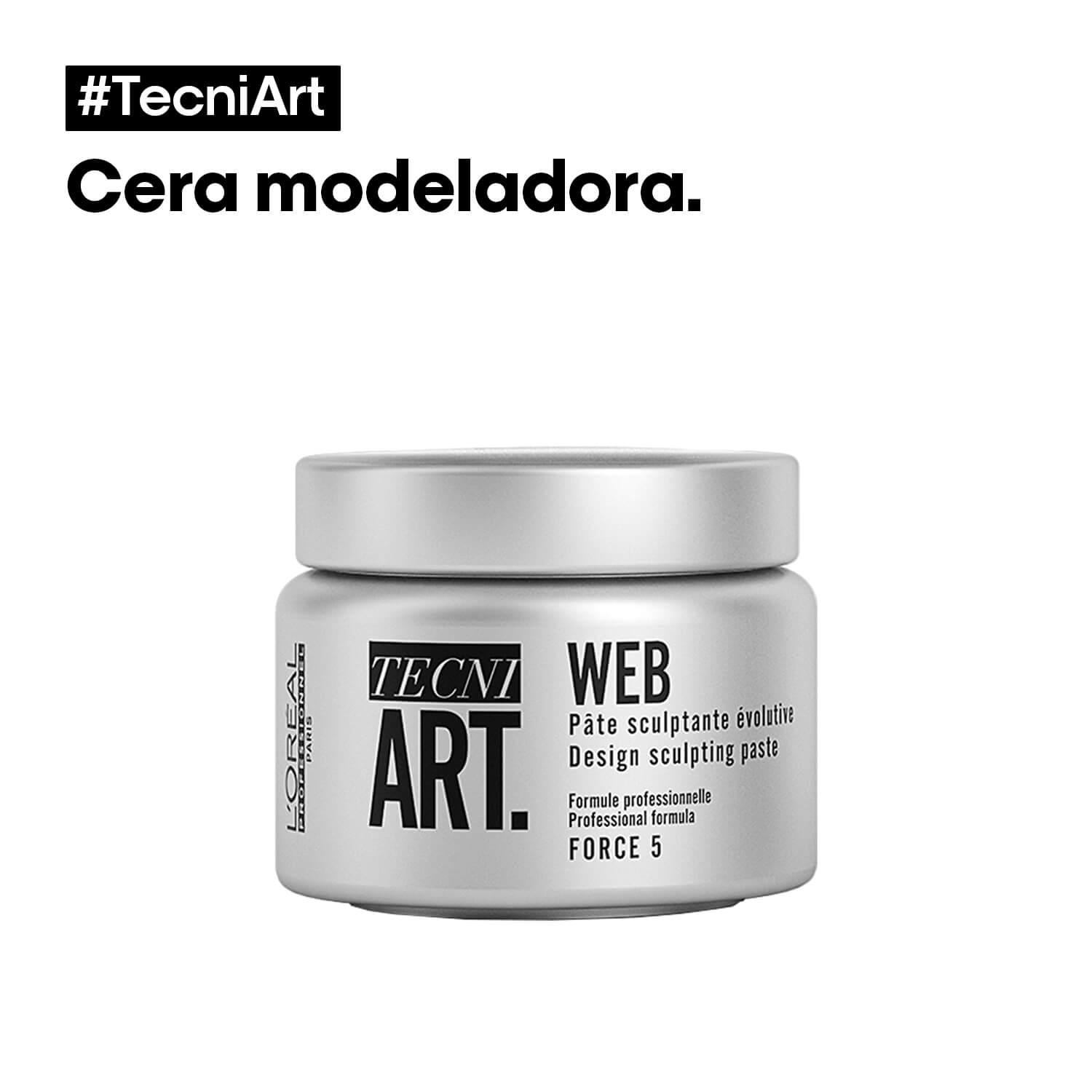 TECNI ART WEB (PASTA MOLDEADORA)